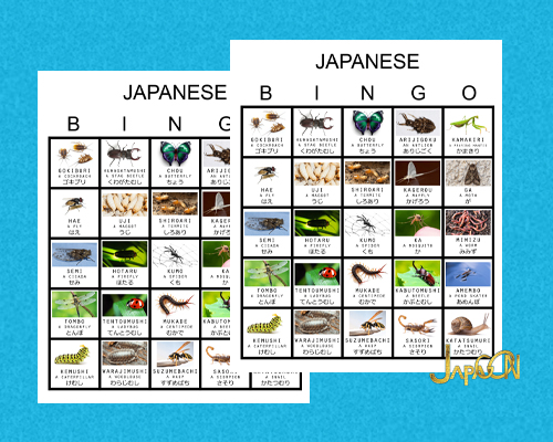 Japanese learning insects bingo hiragana english romaji