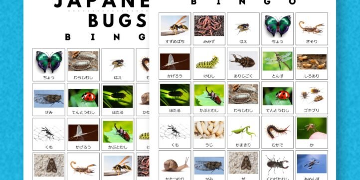 Japanese learning bingo cards - hiragana bugs insects- JPG33